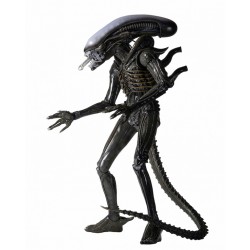 Alien 1979 Figura 1/4 Alien Xenomorph ( 56 cm )
