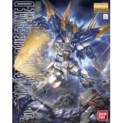 Maqueta GUNDAM - Gundam Astray Blue Frame D - Gunpla MG - 1/100
