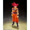 S.H.Figuarts - Dragon Ball - SON GOKU (Super Saiyan God)