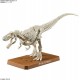 Maqueta DINOSAURIO - Tyrannosaurus