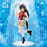 Love Live ! School Idol Project - UMI SONODA - Korekara no Someday - Special Figure