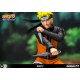 Naruto: Shippuden - NARUTO UZUMAKI
