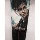 HARRY POTTER - Varita de Harry - Réplica