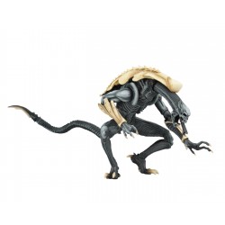 Alien vs Predator - CHRYSALIS ALIEN