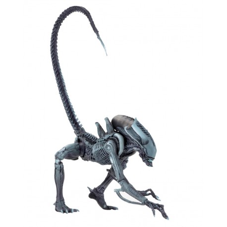 Alien vs Predator - ARACHNOID ALIEN