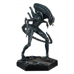 XENOMORPH WARRIOR (Aliens) - The Alien & Predator Figurine Collection