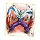DRAGON BALL - Shikishi Art 8 - PICCOLO - Ilustración