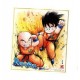 DRAGON BALL - Shikishi Art 8 - GOKU vs KRILLIN - Ilustración